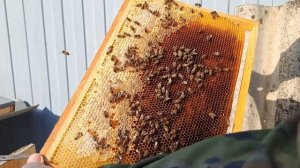 День воссоединения Крыма с Россией !