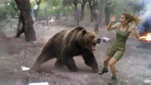 Шокирующее поведение животных, попавшее в объектив камеры.