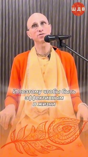 19/03/2026Глубокие духовные корни + здоровое тело и ум = эффективность в жизни/ББ КешаваСвами#shorts