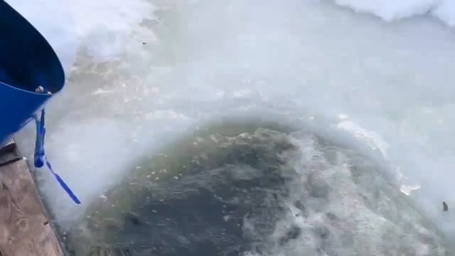 18.03.26 г. РК Волна. смотреть онлайн