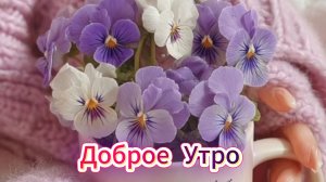 Доброе утро! Красивое видео пожелание с добрым утром!