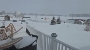 Сельчанка /  ЗАКРЫЛИ МАГАЗИН