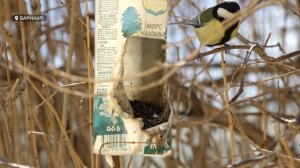 День с Толком 16.03.2026