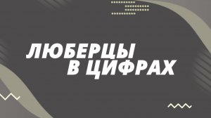 Люберцы в цифрах. Торговля