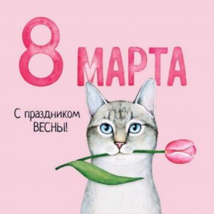 рассказ Носова