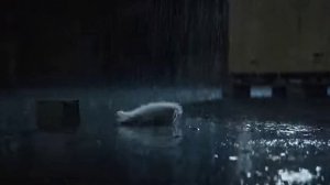 Котик "Смурфик"