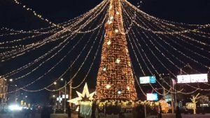 Новогодняя ёлка в г  Белграде.  Сербия.