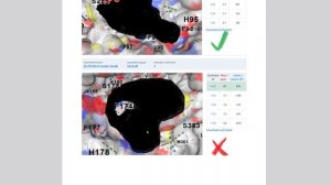 Docking of absolutely selective CB-2 receptor agonists. Binding energy reached -11 kcal/mol!