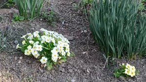 Анапа .Центральный пляж 🏖️.
12-13 Марта 2026