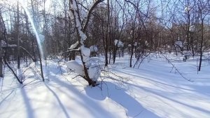 Лесной Март