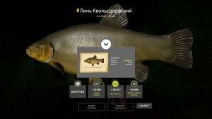 ЕСТЬ ЛИ ФАРМ НА МЕДНОМ И НА АХТУБУ ЗА ПРИКЛЮЧЕНИЯМИ В РУССКОЙ РЫБАЛКЕ 4 СТРИМ