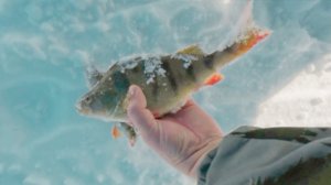 Озеро "Золотое".