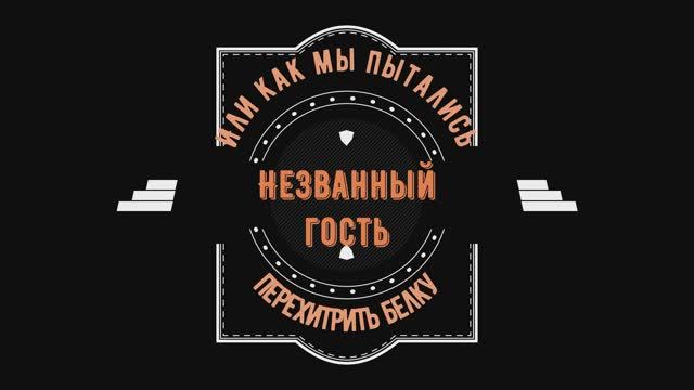 Хитрая белка - шкодница. Посмотрите, как она пытается добраться до птичьего корма.