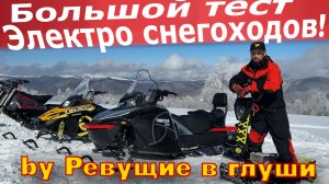 БОЛЬШОЙ ОБЗОР ЭЛЕКТРО-СНЕГОХОДОВ И СНОУБАЙКОВ 2026 Электро сноуборд ELIQ