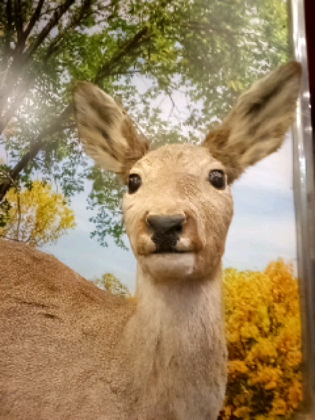 пишу имена на старославянском