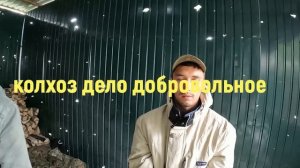 Пленные. Не успели выйти из котла, крышка захлопнулась