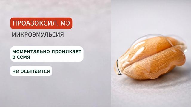 ПРОАЗОКСИЛ | УНИКАЛЬНЫЙ ПРОТРАВИТЕЛЬ ГК «ШАНС»