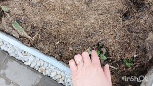 Жизнь в деревне. Первые посевы  в теплицу в этом году .