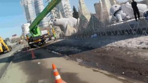 Мишки из Ростокино март 2026