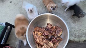 Одно из любимых лакомств, все грызут с удовольствием.