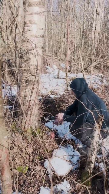 березовый сок деревня, дача  #отдых #блог #березовыйсок  #озеро #лес #охота