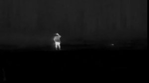 Охота на кабана с подхода