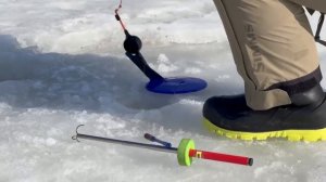 Поимка форели