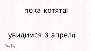 всем пока! давайте пока меня не будет добьем 80 котят?(описание)