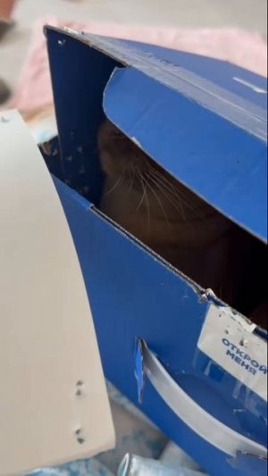 Полезный дома и в офисе