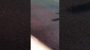 идём гулять можете послушать и так далее