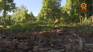 Команда ученых готовится повторить маршрут масштабной геоботанической экспедиции по Чувашии 1926 год