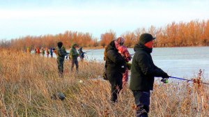 ЧТО ЗА АЖИОТАЖ? Куча рыбаков на Ахтубе Открытие весеннего сезона в Астрахани