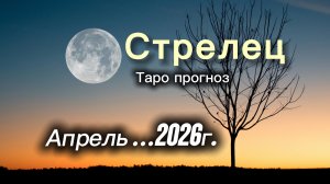 СТРЕЛЕЦ‼️АПРЕЛЬ 2026 таро гороскоп!  #таро #стрелец
