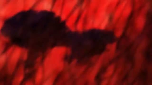 AMV Sengoku Basara