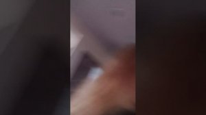 что по-настоящему нано краска топ это вторая часть