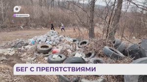 Без комментариев / Свалка на Филиппова / 17.03.26