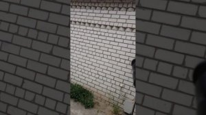 2022г Май. СВО. Северодонецкий фронт. Доброволец Спецназа Ахмат. Воложанин Александр позывной Якудза