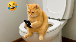 ЛУЧШИЕ ПРИКОЛЫ С КОТИКАМИ 2026 ГОДА. СМЕШНОЕ. ЮМОР