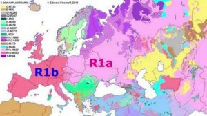 Доказательства реальности первой расовой войны.