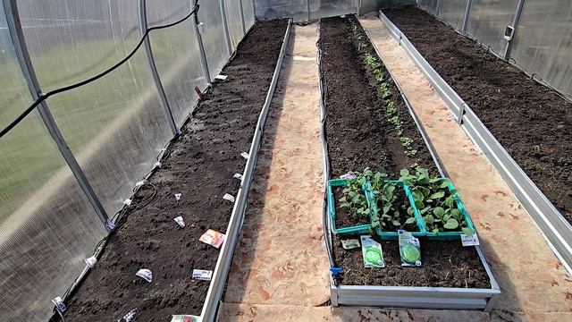 Хозяин все продумал Погода шепчетДела идут