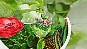 С Днём Рождения 6! Ландышевая Сказка от Киностудии Мудрого Кота Тимофея!!!