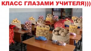 Лютые мемы. Класс глазами учителя