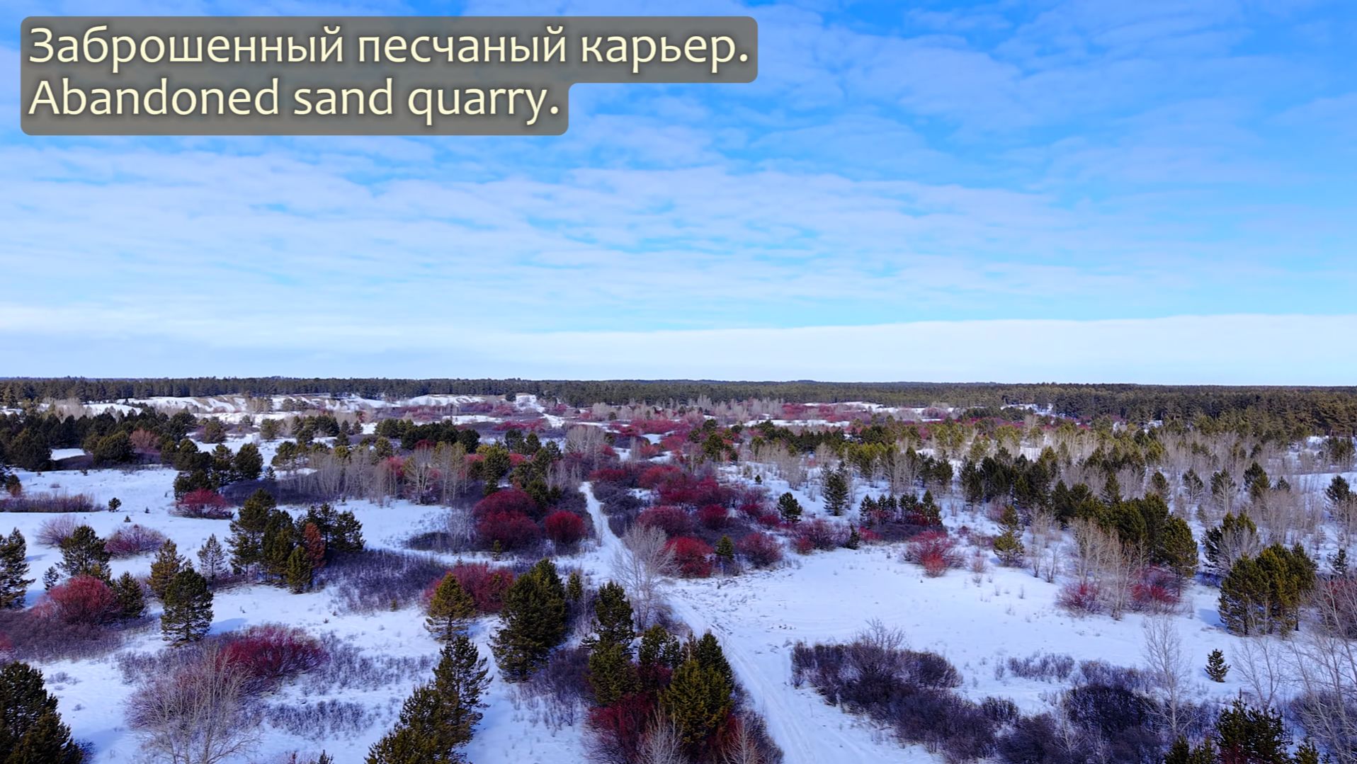 Дорога в бору. Road Among The Pines. DJI Mini 5 Pro 4K 50 Fps.