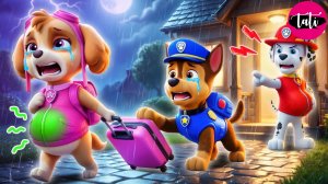 Щенячий патруль и Маршалл. Залипательное видео. Мультфильм для детей и малышей. Анимация 390