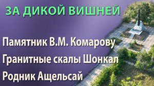 За дикой вишней (Адамовский район)