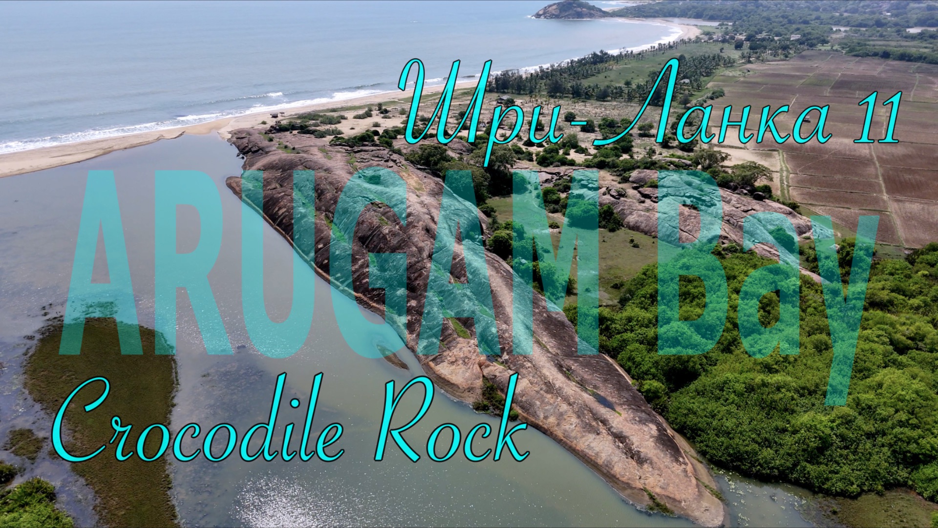 Шри-Ланка 🇱🇰 Sri Lanka. Crocodile Rock #travel #srilanka #animals #nature