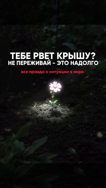 Все правда о ситуации в мире