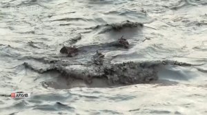 Бастрыкин потребовал доклад по делу о загрязнении воды в реке в Дагестане