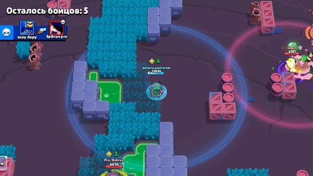 базз и 7 килов