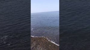 Большой Утриш: реконструкция на пляже. 17 Марта 2026. Репортаж Светланы Тихоновны.